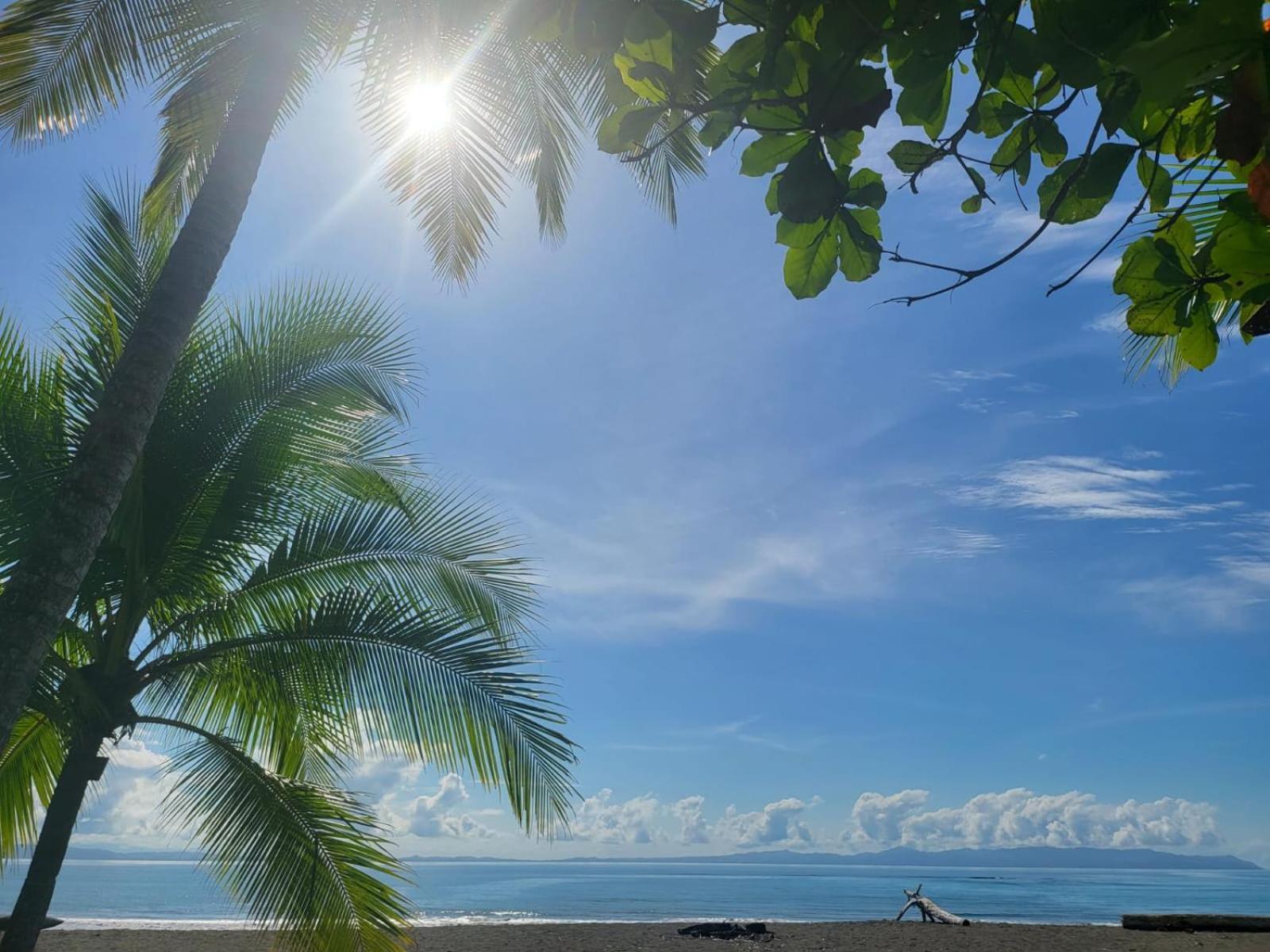 Agua Dulce On The Beach Puerto Jimenez Ngoại thất bức ảnh