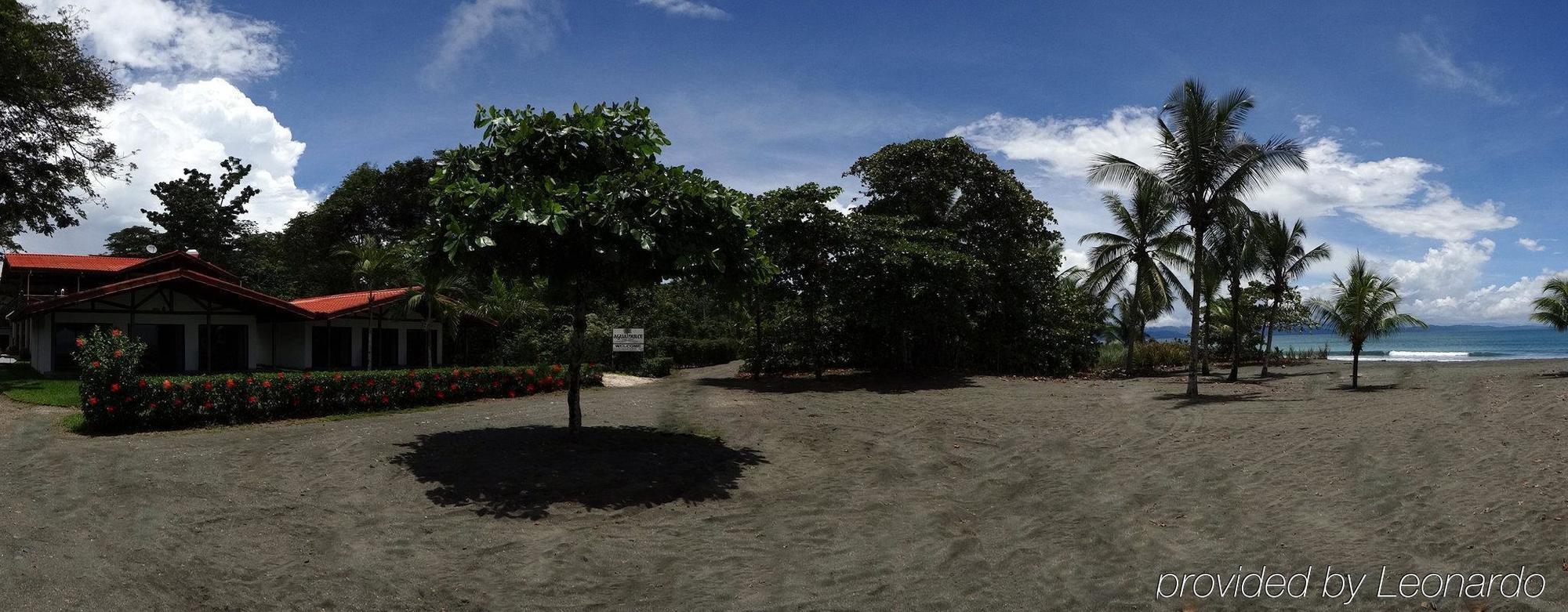 Agua Dulce On The Beach Puerto Jimenez Ngoại thất bức ảnh